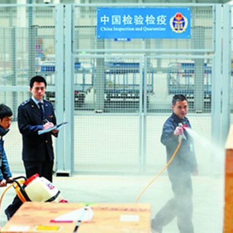 瑞丽报关代理服务