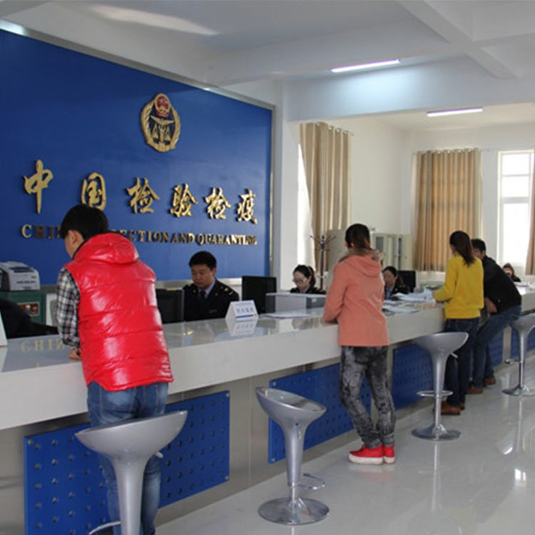 瑞丽报关代理服务