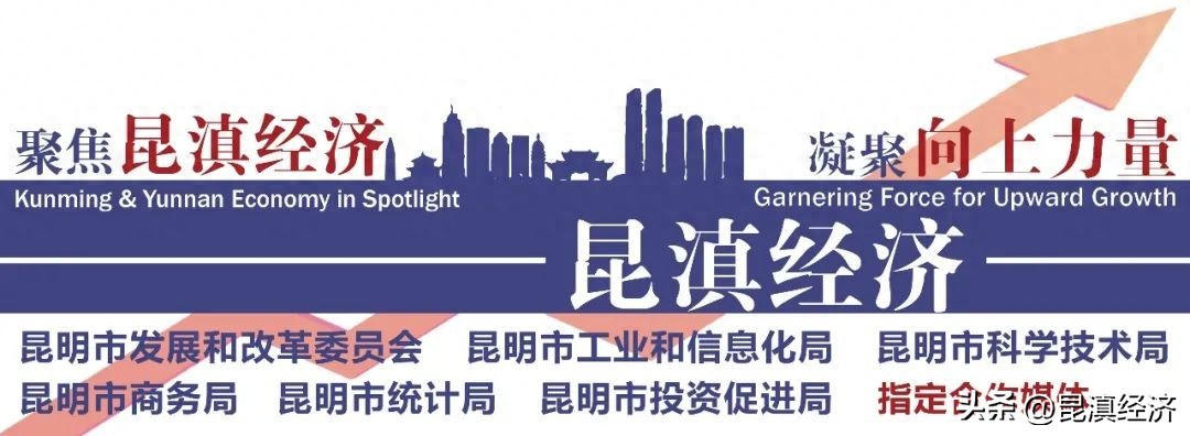 云南报关时间