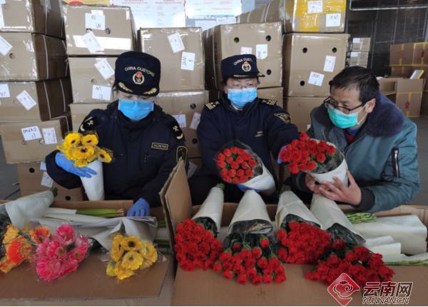 云南报关时间