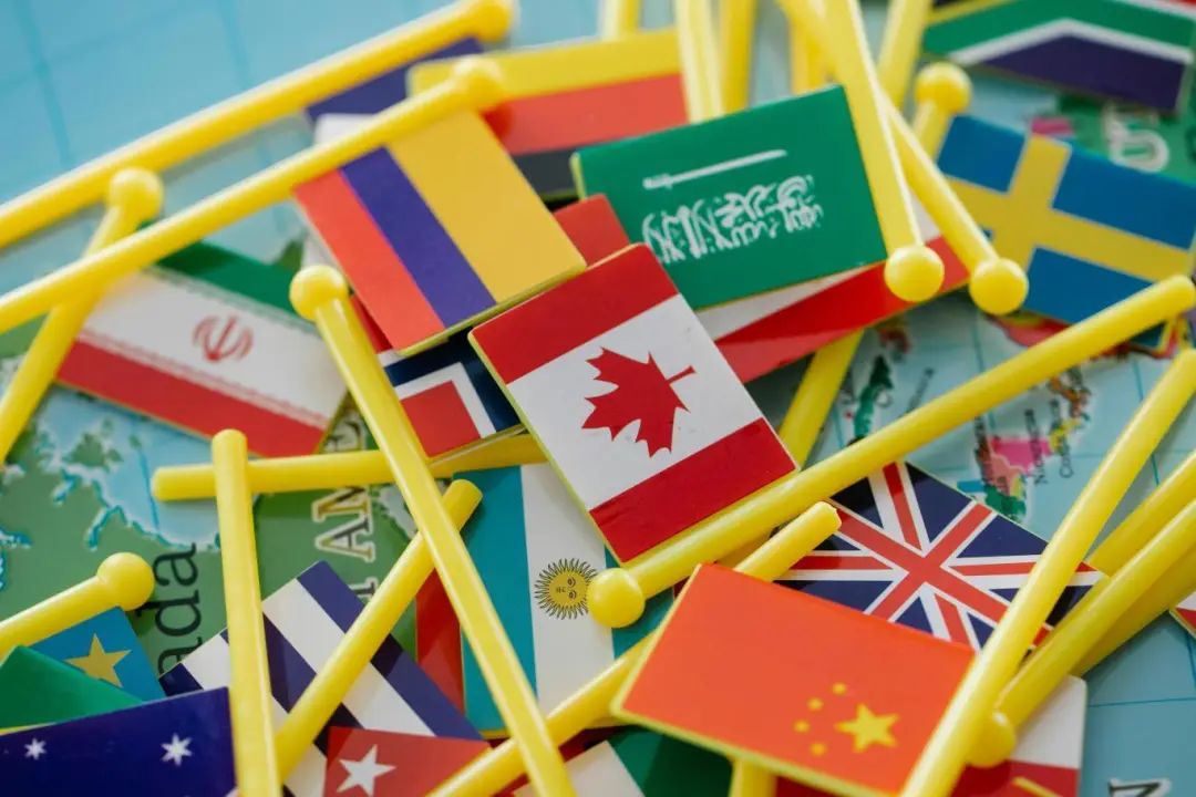报关行业分析
