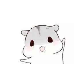 电子口岸报关