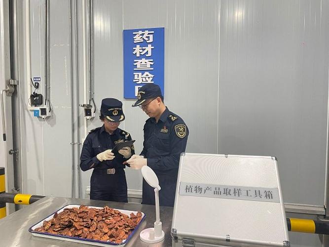 磨憨报关