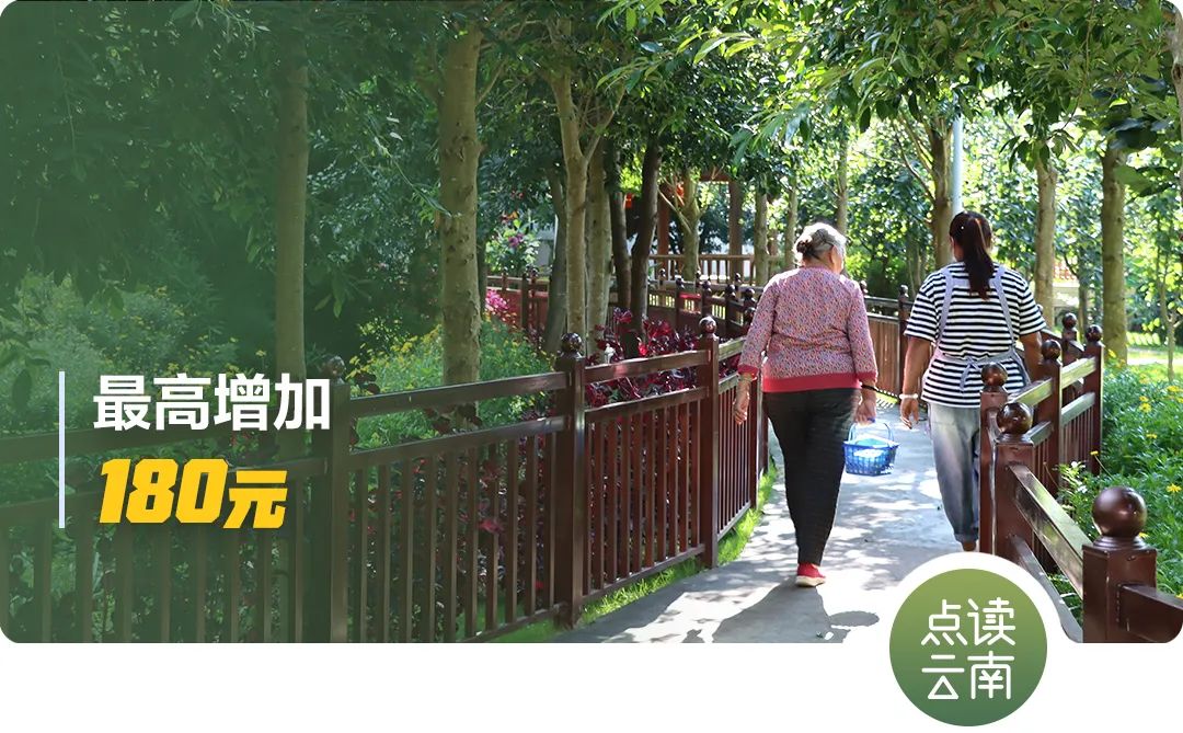 云南报关行