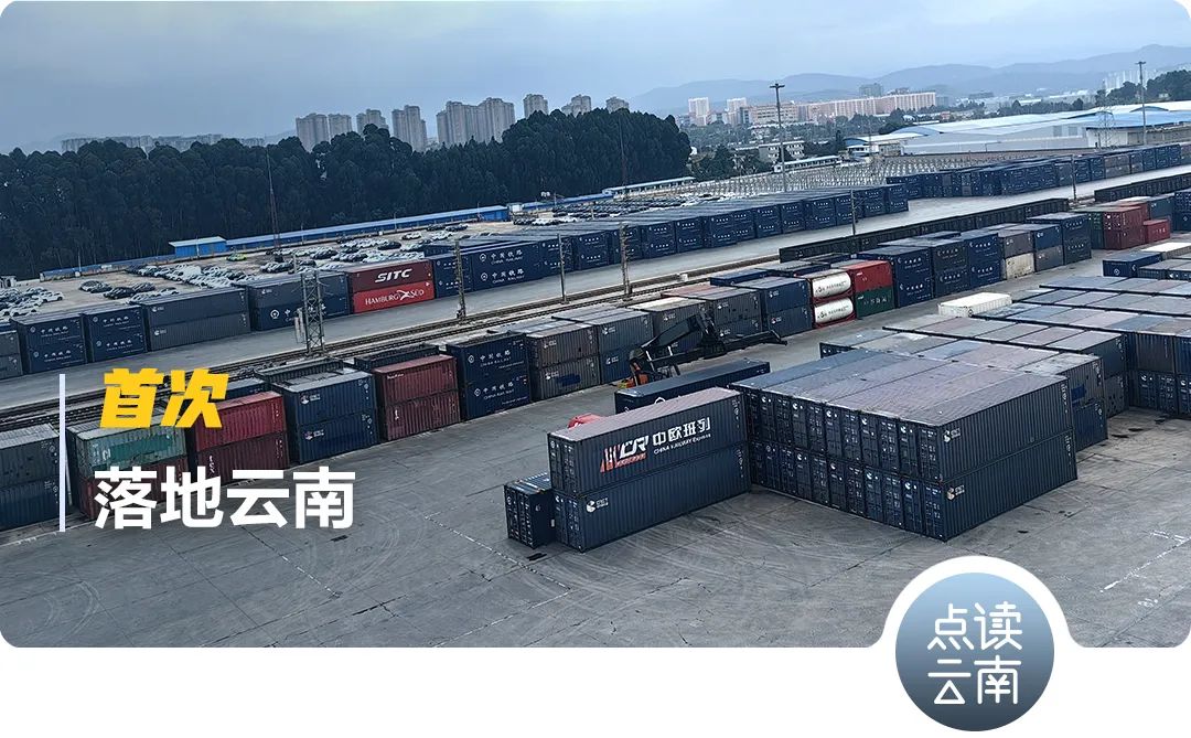 云南报关行