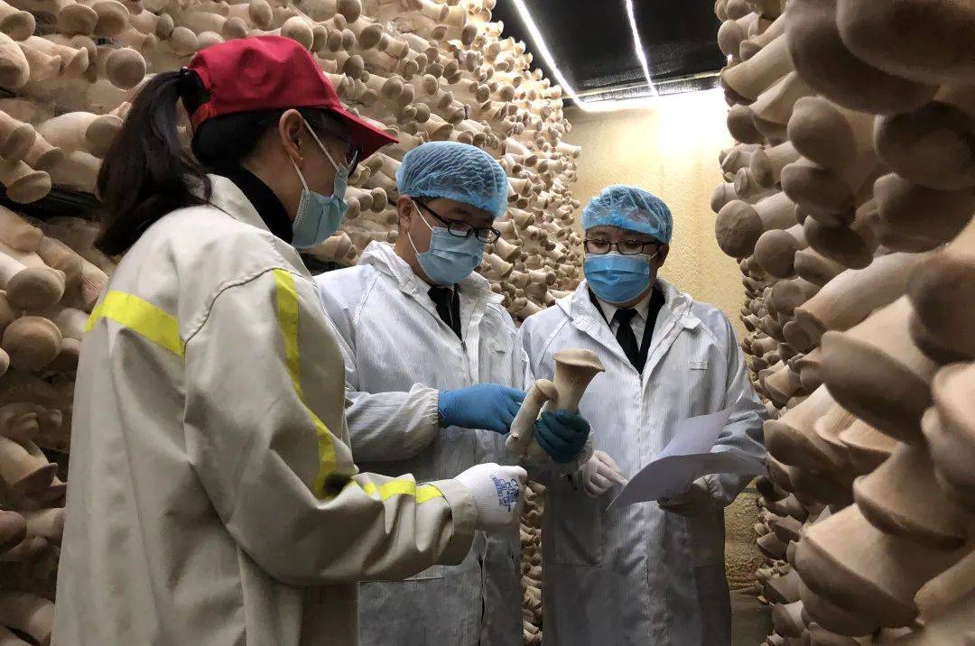 进出口报关