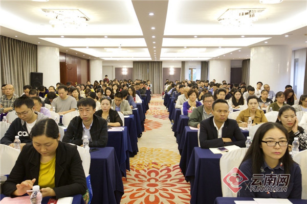 云南报关行业规模