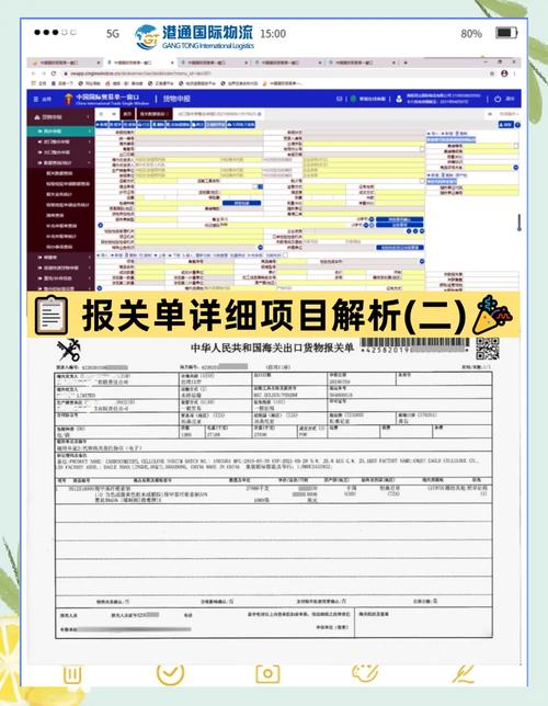 报关专业服务
