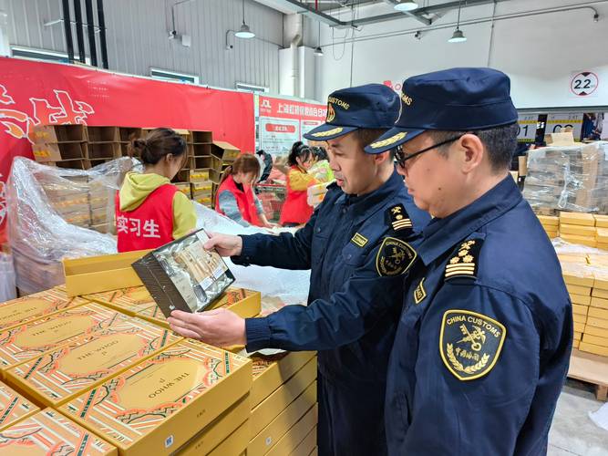 监管证件联网状态