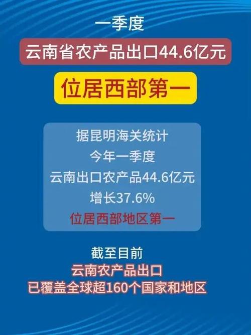 云南报关市场趋势