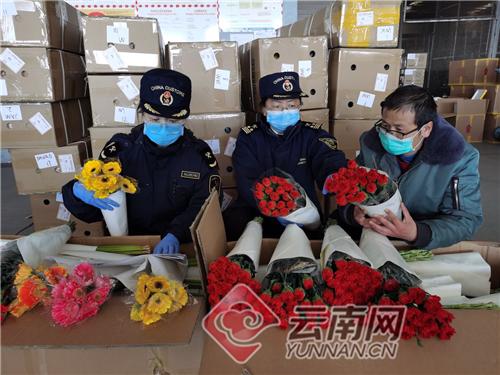 云南报关服务流程