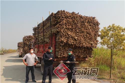 云南报关服务流程