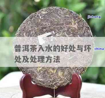 云南省普洱茶产量的增长趋势及其市场前景分析