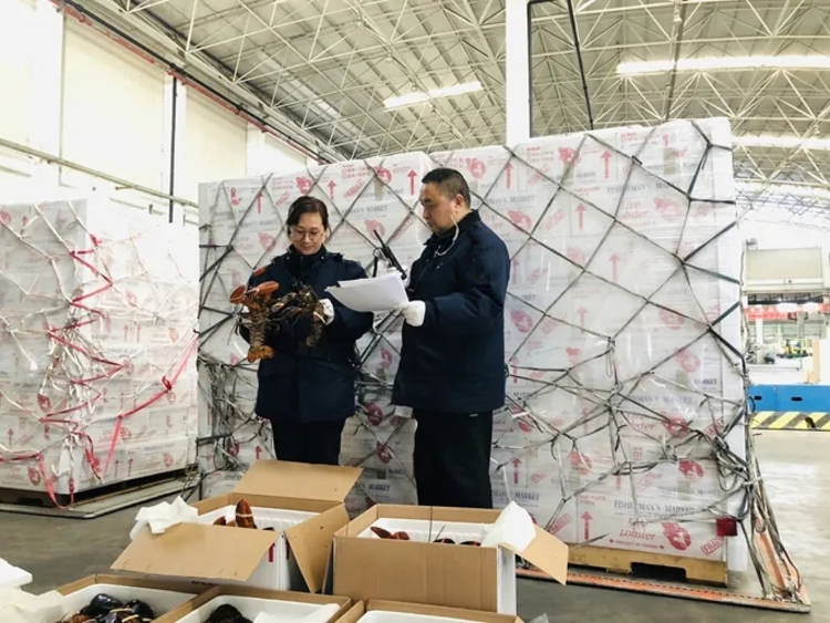 腾冲猴桥报关报检