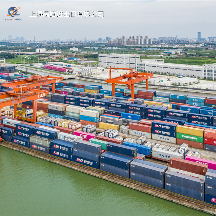 上海芦荟报关公司