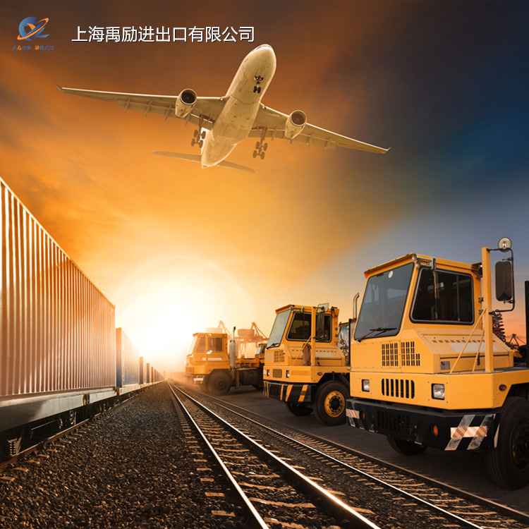 上海芦荟报关公司