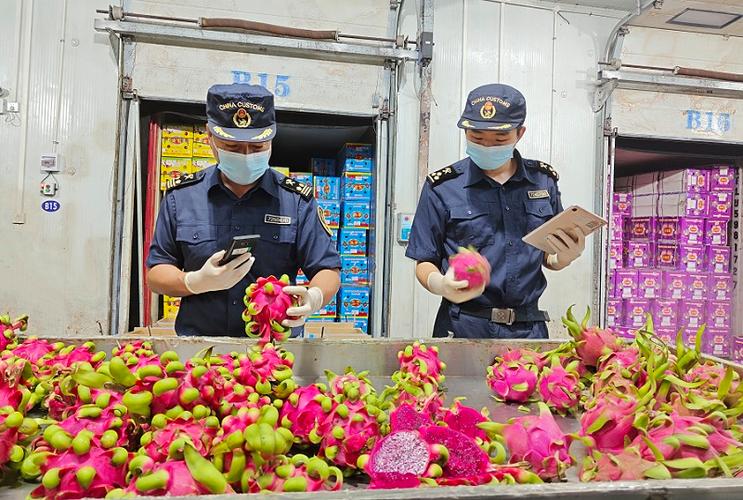 瑞丽电子口岸报关