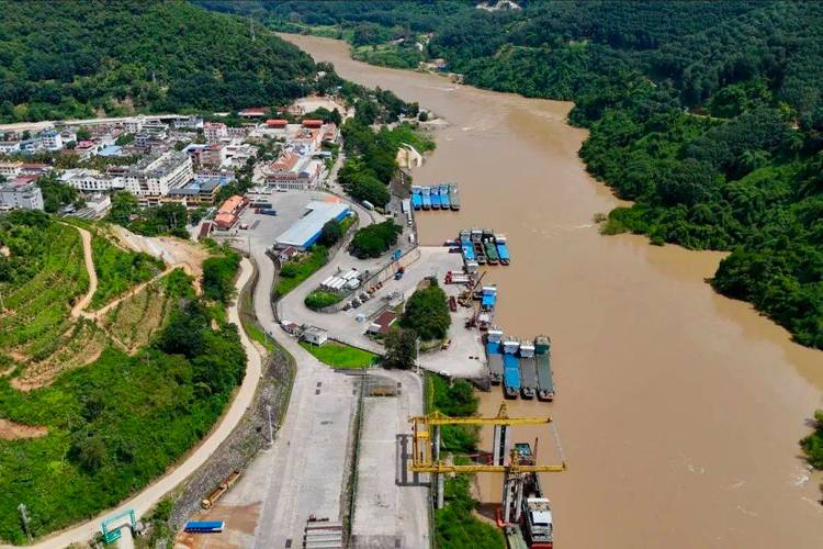 云南报关业务服务