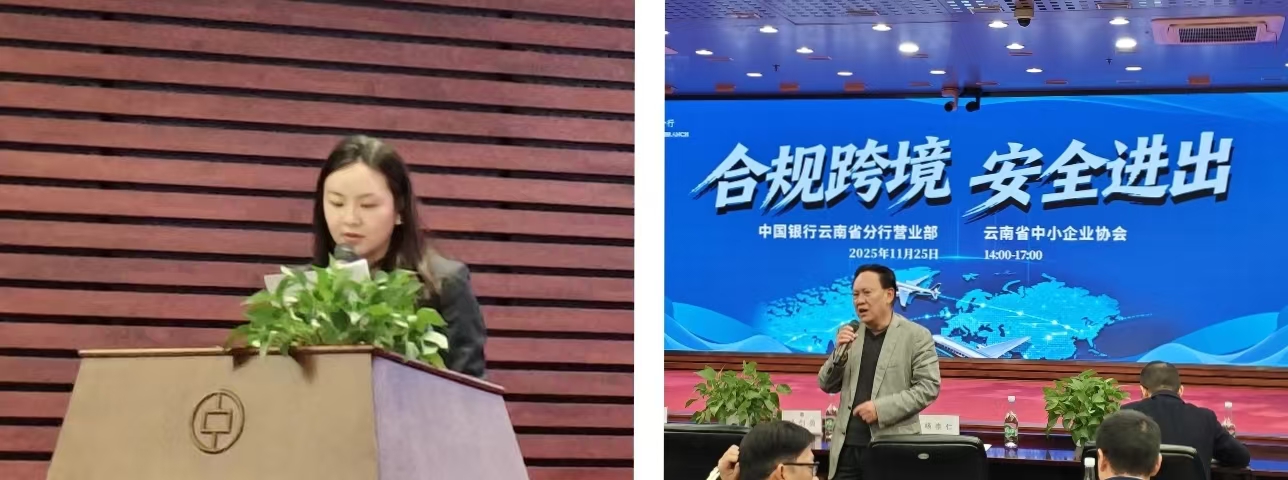 云南报关业务服务