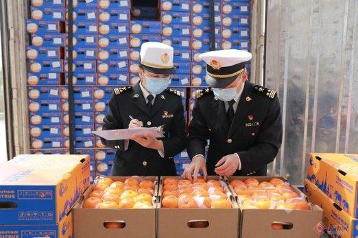 云南报关业务服务