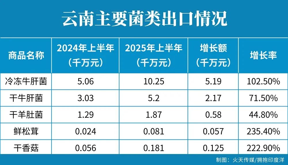 瑞丽报关行业规模