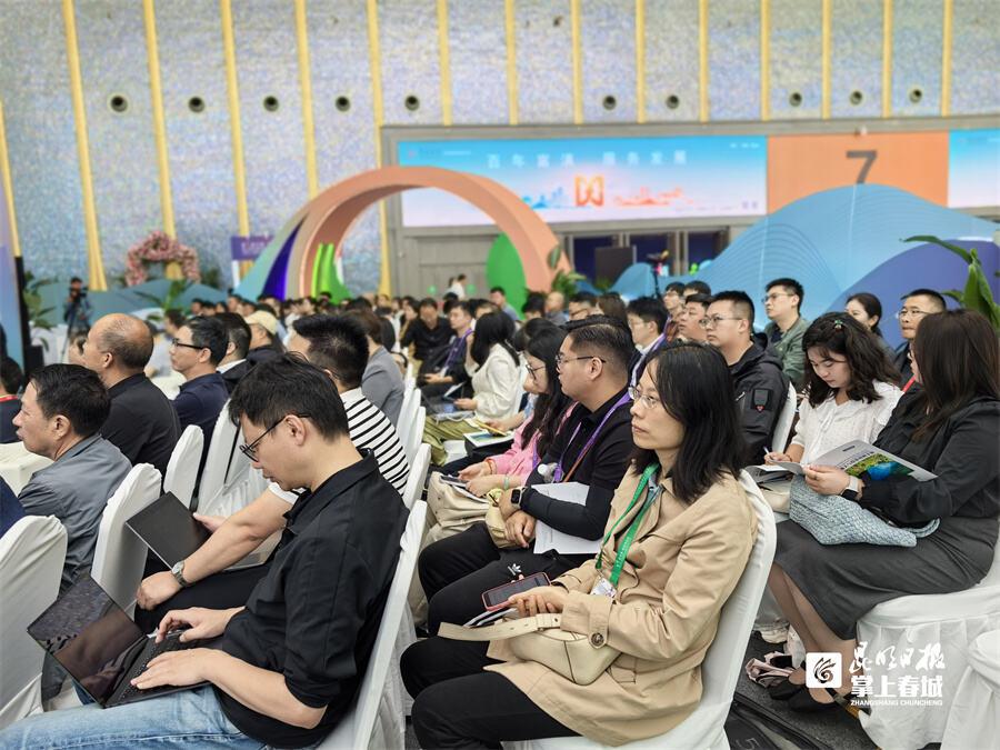 云南报关企业分布