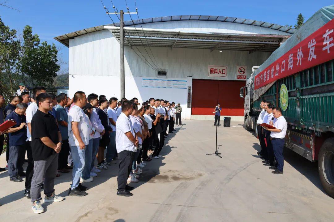 瑞丽报关业务合作