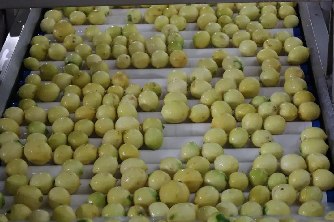 瑞丽报关业务合作