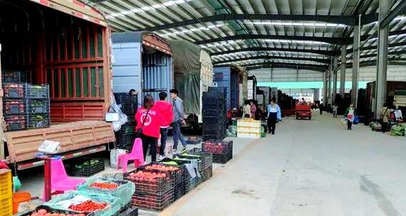 云南报关市场趋势