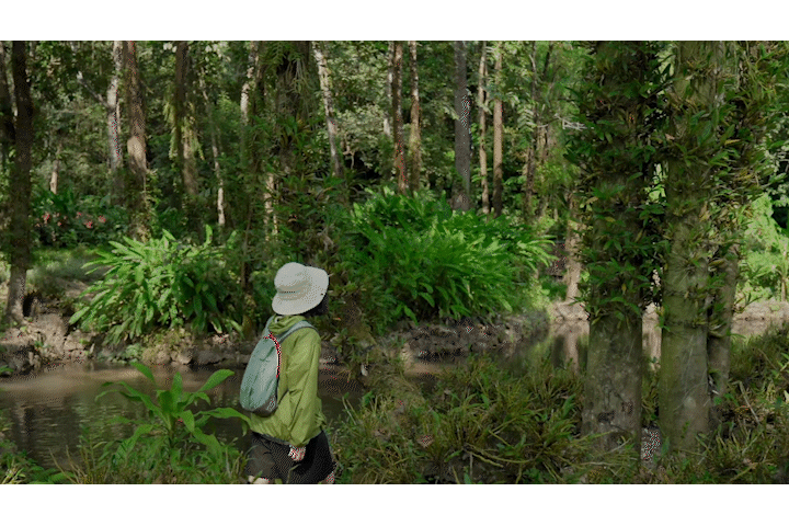 瑞丽进出口报关