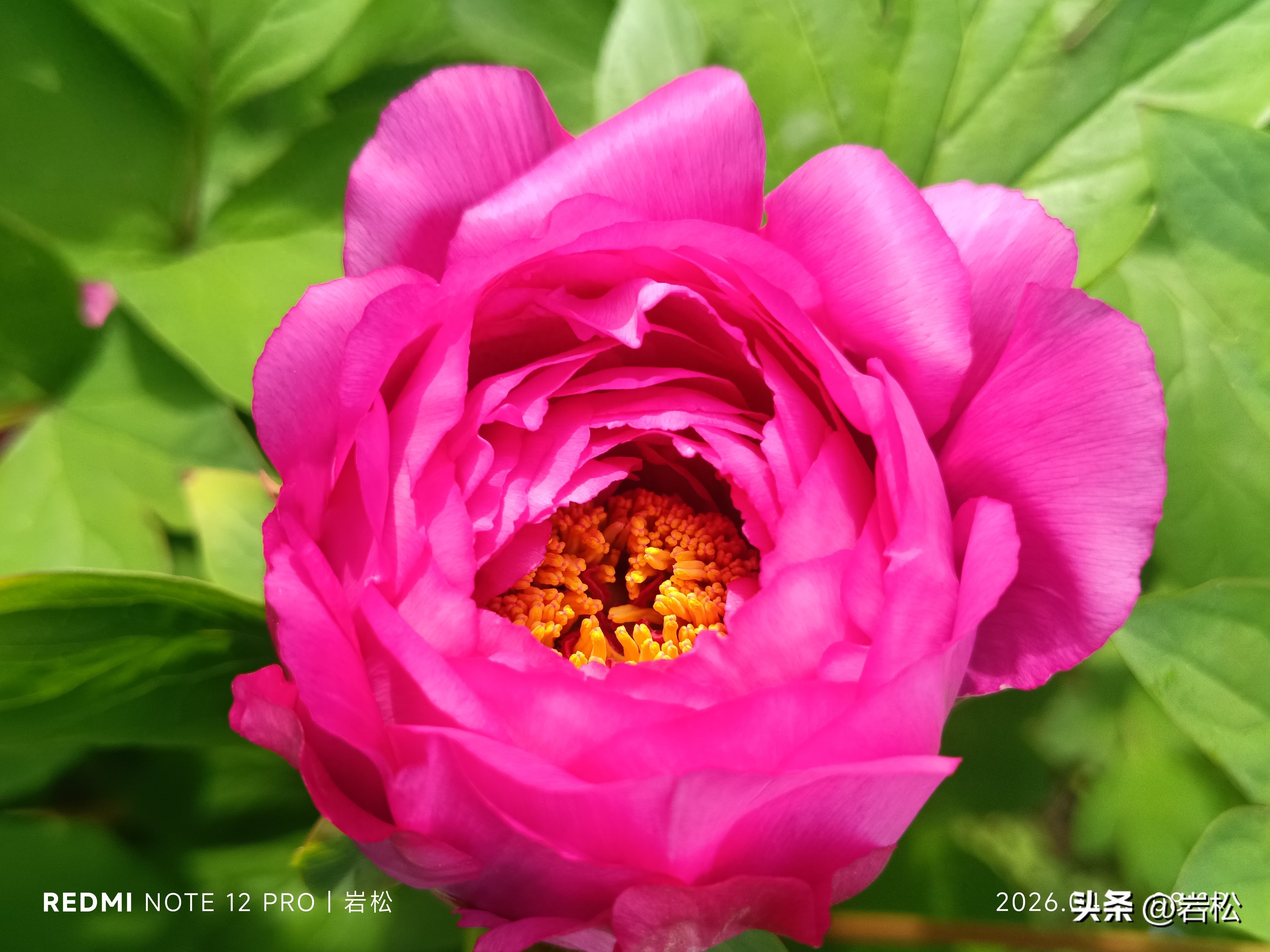 云南报关操作流程