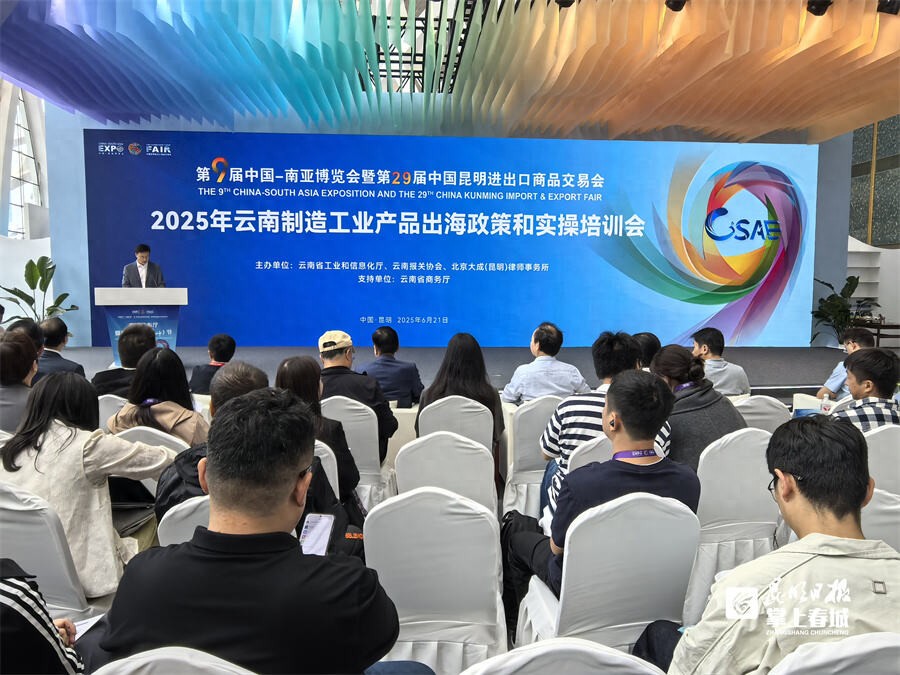 云南报关业务服务