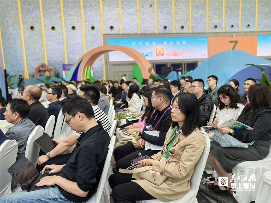 云南报关业务服务