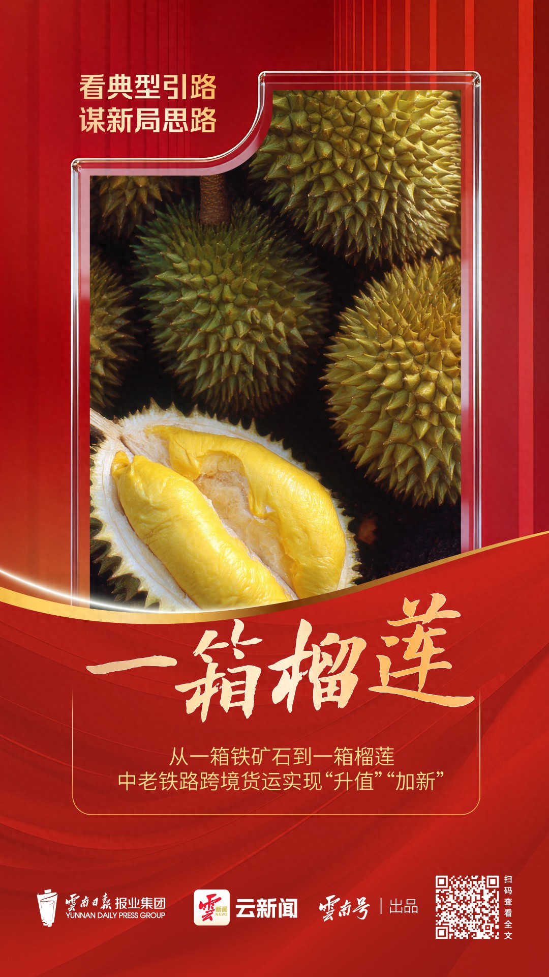 云南报关业务服务