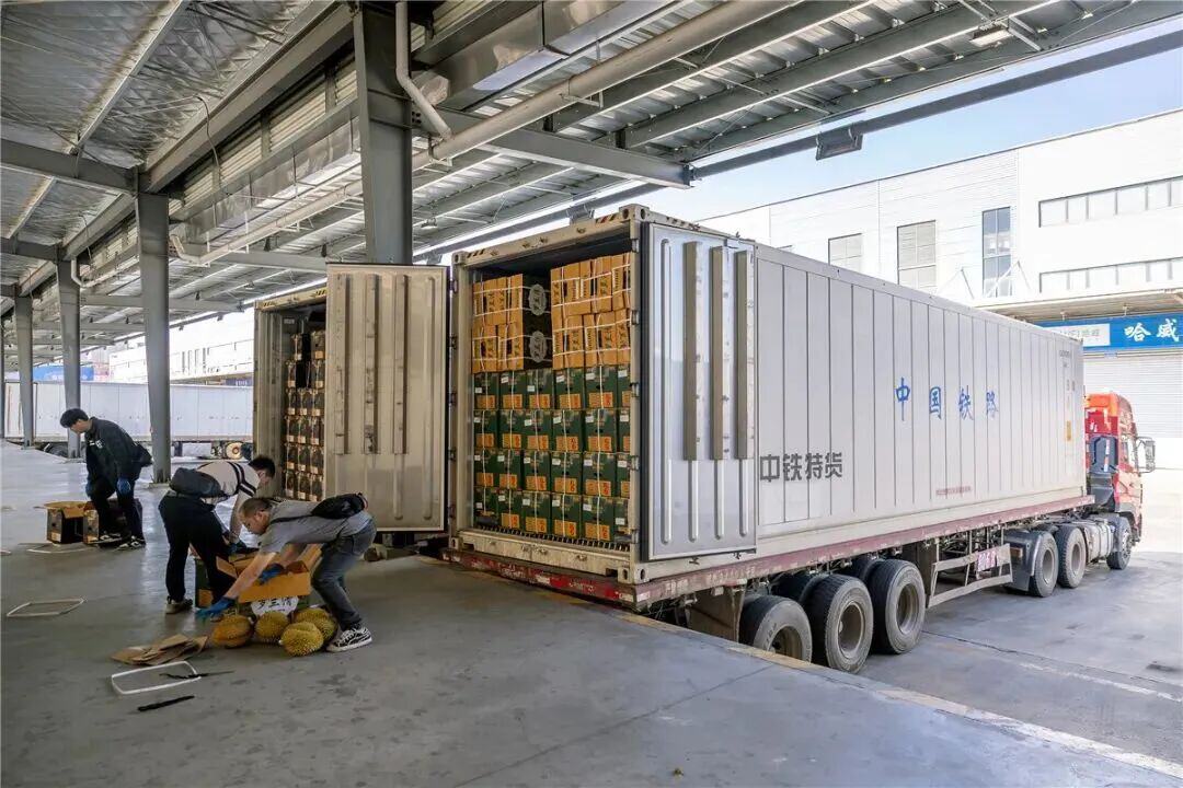 云南报关业务服务