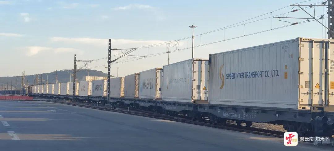 云南报关业务服务