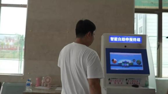打洛报关报检