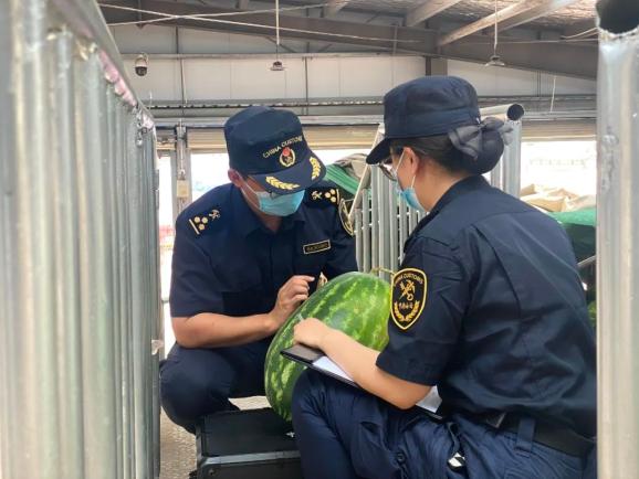 打洛报关报检