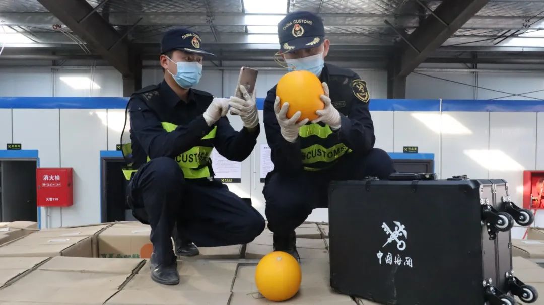 打洛报关报检