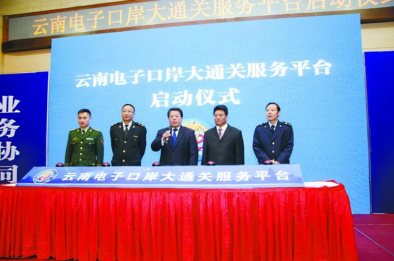 云南电子口岸报关