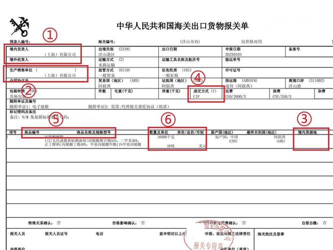 报关业务服务
