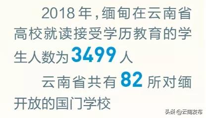 孟定报关