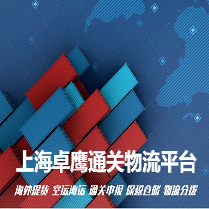 报关业务服务