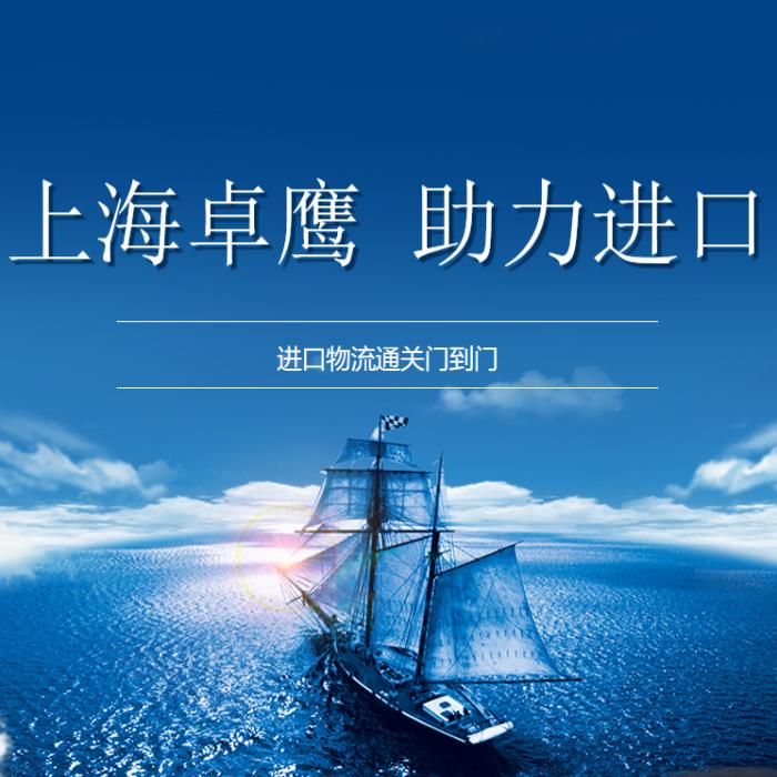 报关业务服务
