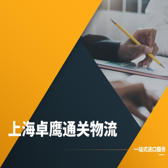 报关业务服务