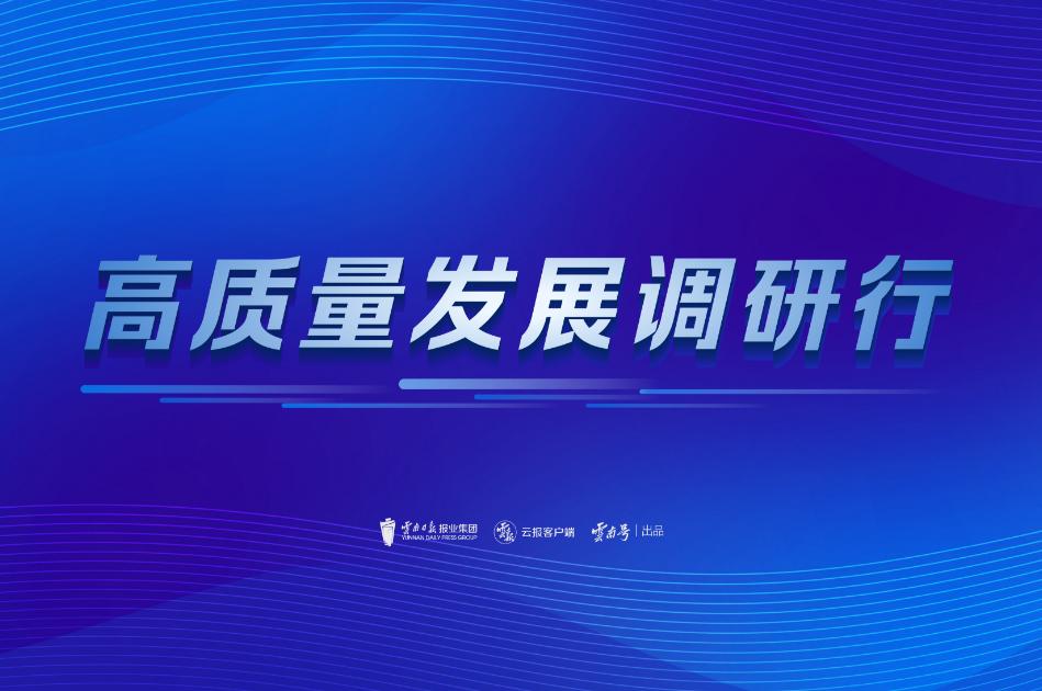 瑞丽进出口报关