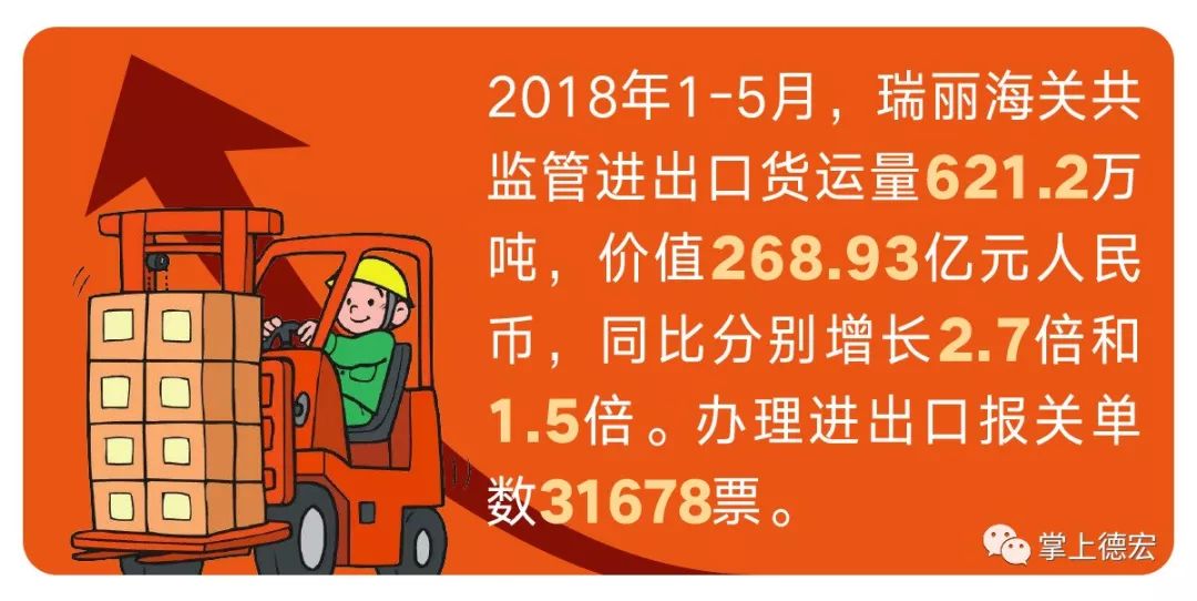 瑞丽进出口报关