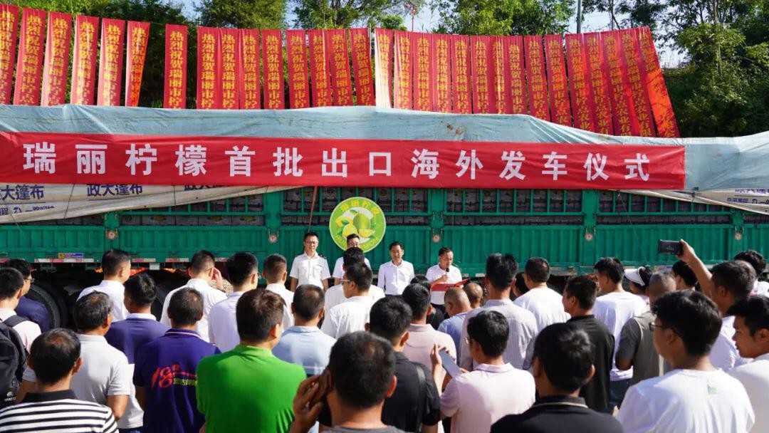 瑞丽进出口报关