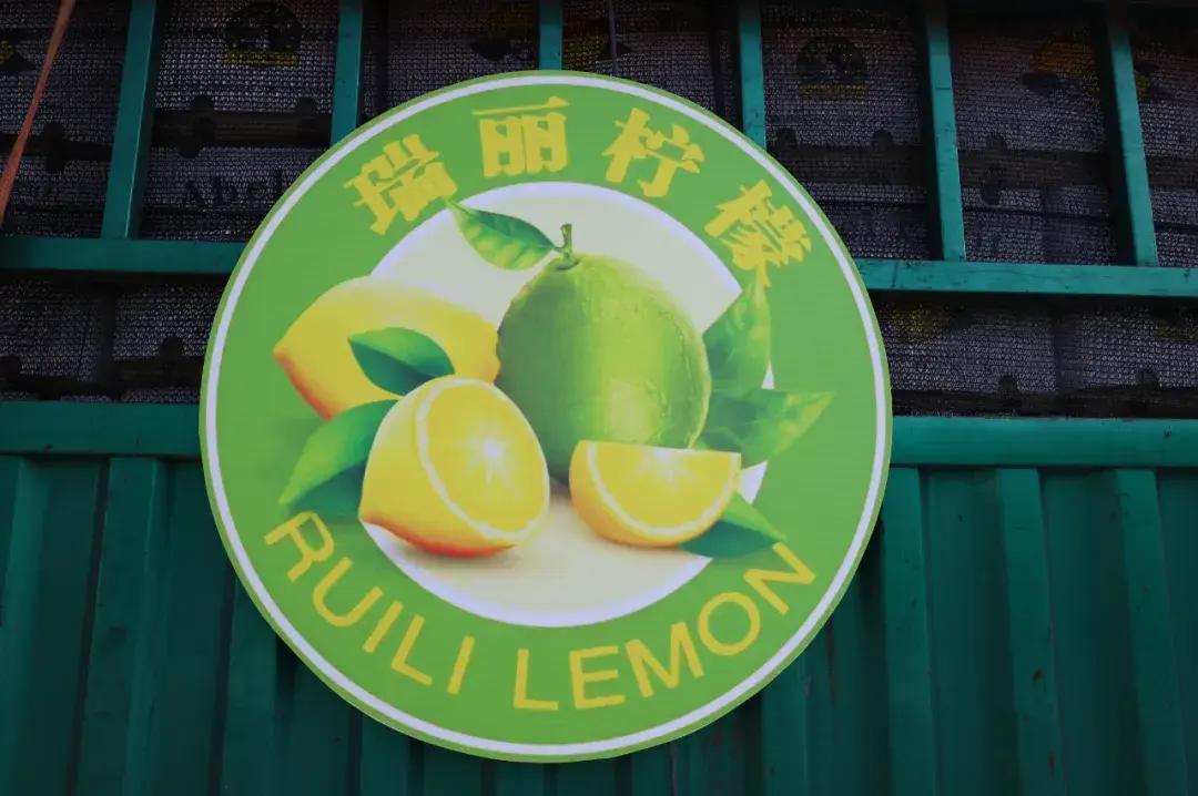瑞丽进出口报关
