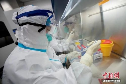 瑞丽报关注意事项